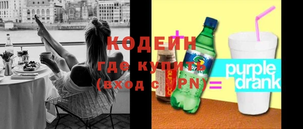 крисы Ельня