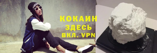 крисы Ельня