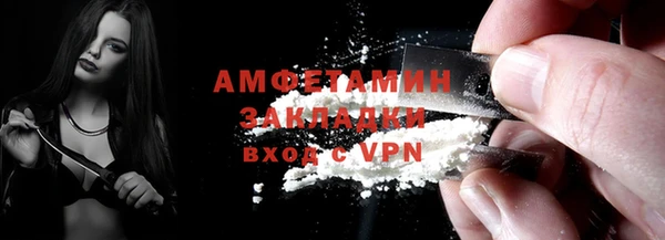 крисы Ельня
