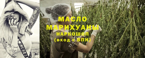 крисы Ельня
