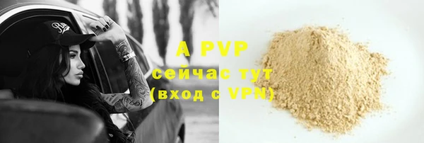 крисы Ельня
