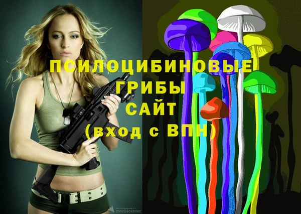 крисы Ельня