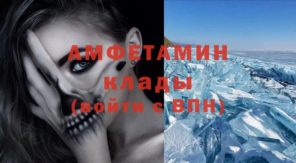 крисы Ельня
