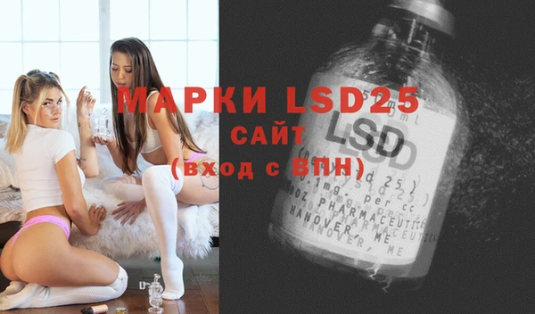 крисы Ельня