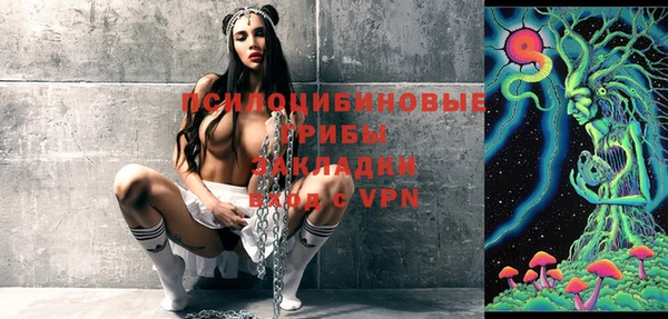 крисы Ельня
