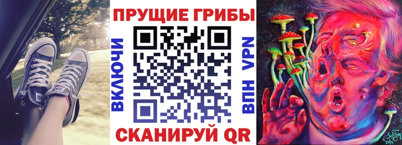 Галлюциногенные грибы Magic Shrooms  Купить  Ершов 
