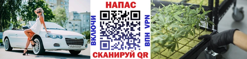 Купить  Ершов  Бошки марихуана Amnesia 